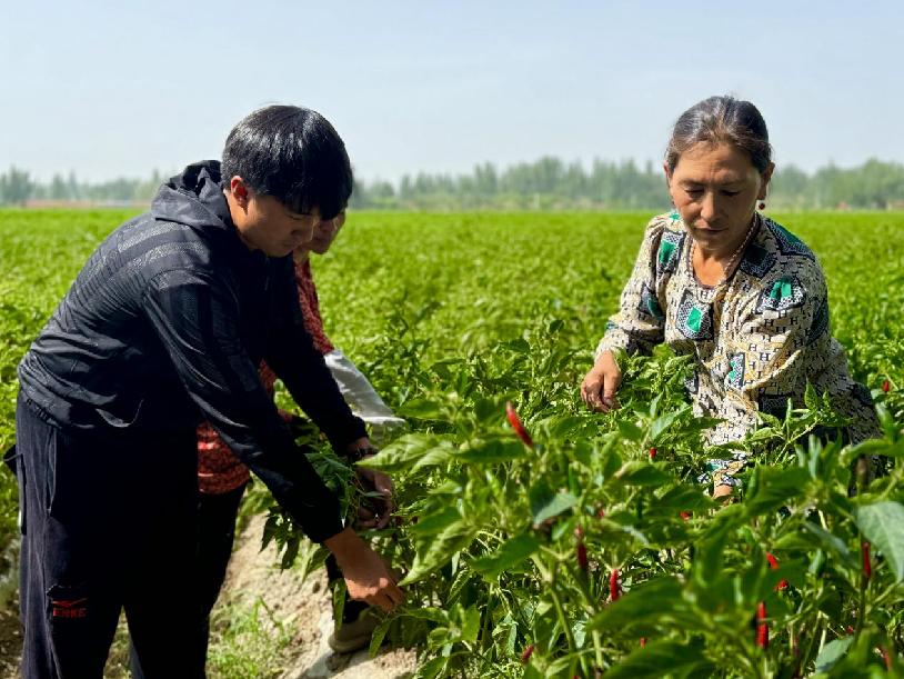 c13b199ffeb1f3755821d1b0b18d610