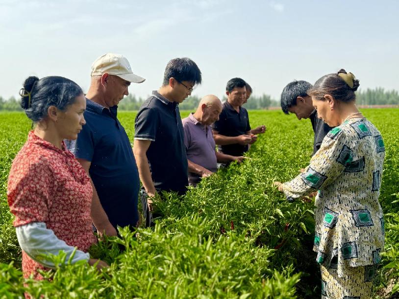 66266ce1fdfa3d69f681e5813bd0360