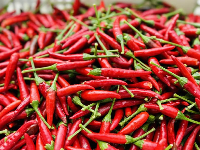 823c82b49168290e61940469fb63e7f