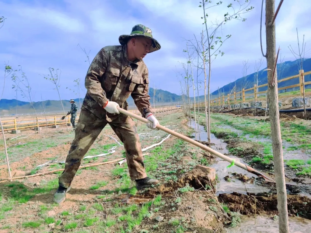 用心用情为村民 全心全意谋发展&mdash;&mdash;阿勒泰地区劳动模范加那提&middot;吾拉尼别克4.webp