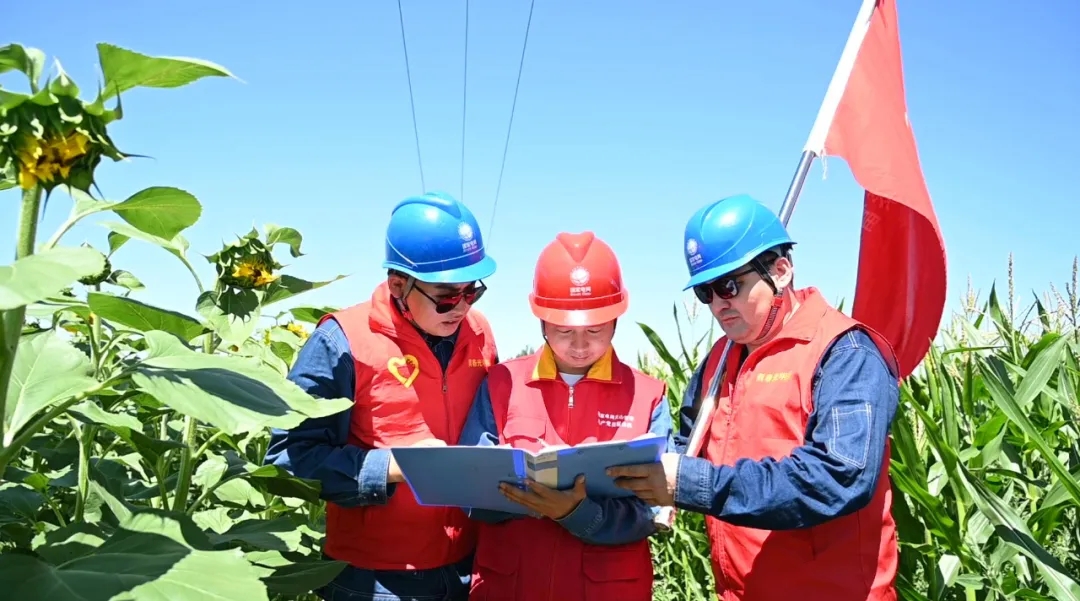 富蕴：无人机巡检 迎峰度夏保安全2.webp