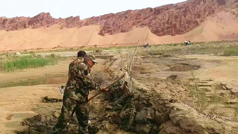 图尔荪&middot;巴克和同伴们在维护植被。