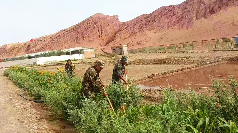 图尔荪&middot;巴克和同伴们在维护当地生态屏障。