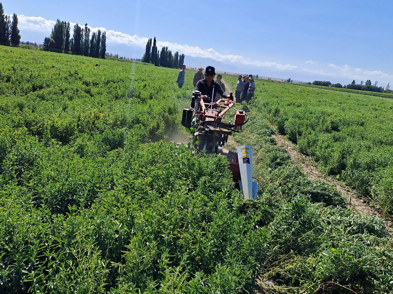 ec7ebe868daf751f58a7f5e5624c650