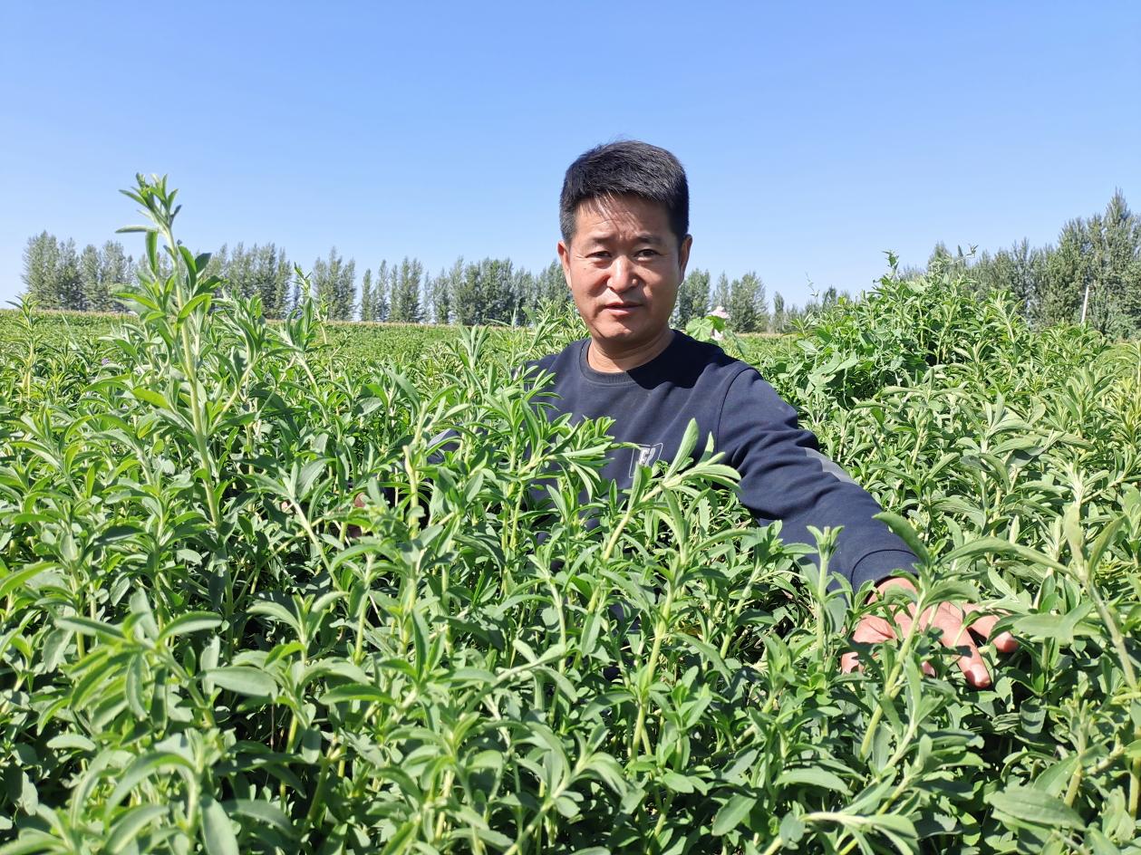 fa7153579eb7df89d0e42854cb03b5d