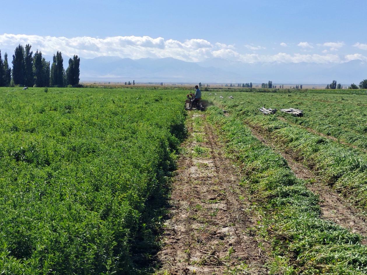 6765f01095c564a698ca7292f4f75a0