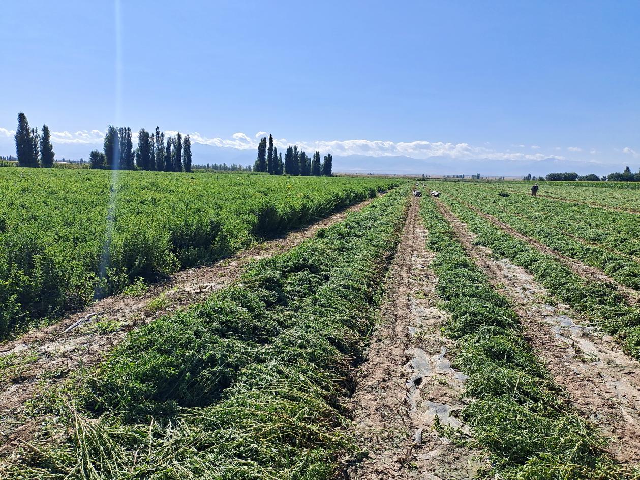 ec961d1f70139820a024a29e6699108