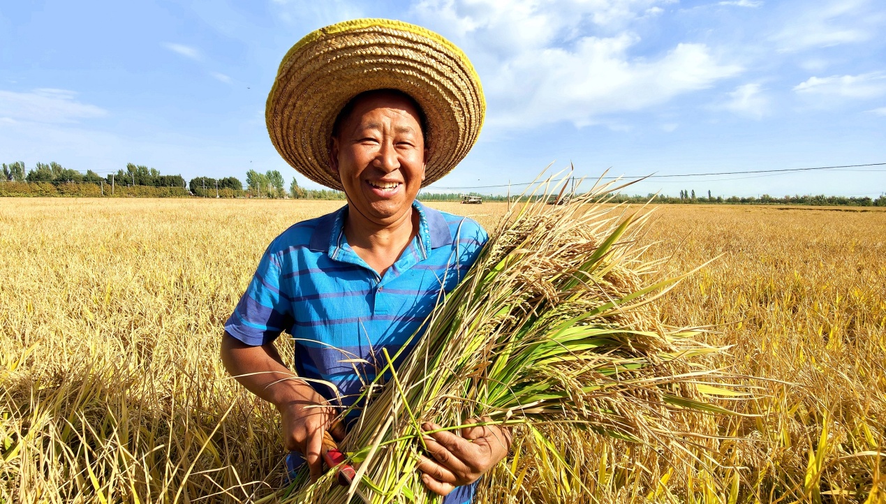 C:\Users\Administrator\Desktop\2024年9月21日，新疆察布查尔：6.43万亩水稻开镰收割图片。华岩明摄（13999388301）\2024年9月21日，新疆察布查尔：6.43万亩水稻开镰收割图片。华岩明摄（13999388301）\9月21日，稻农满脸笑容展示丰收的水稻。华岩明摄cbffc4ccec83194948f406673b97dd71.jpg