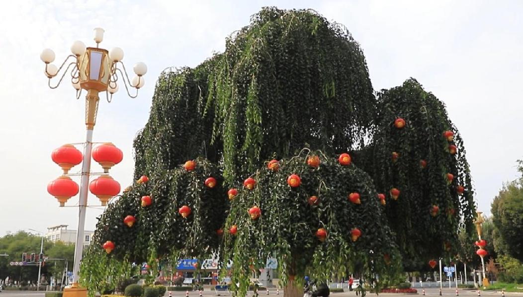 7de64461ac48552ee5592da2bdbc9e1