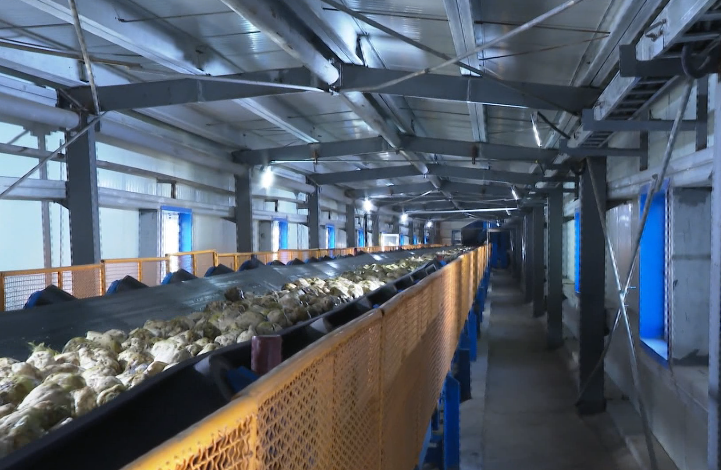 55e648ae677989af08501ac06ff5cf43