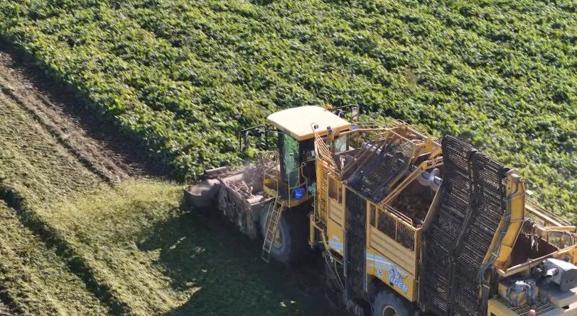 3e4bc603b213a4ac3c93fd94f548a5eb