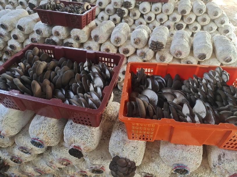 ee1ff065e57a654ad2d9374b1cbb000