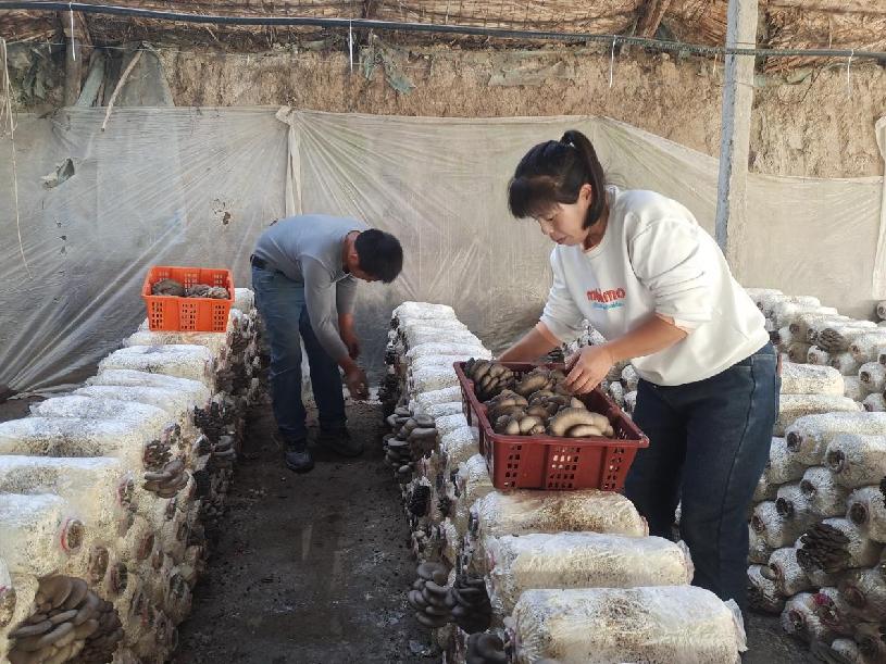 3e32bfd1dedef7dcfa27f6213cf334a