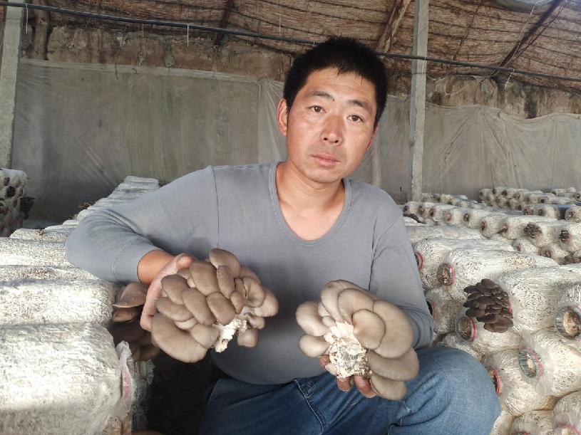 7bb9de743db40378104c2b1b006f9cc