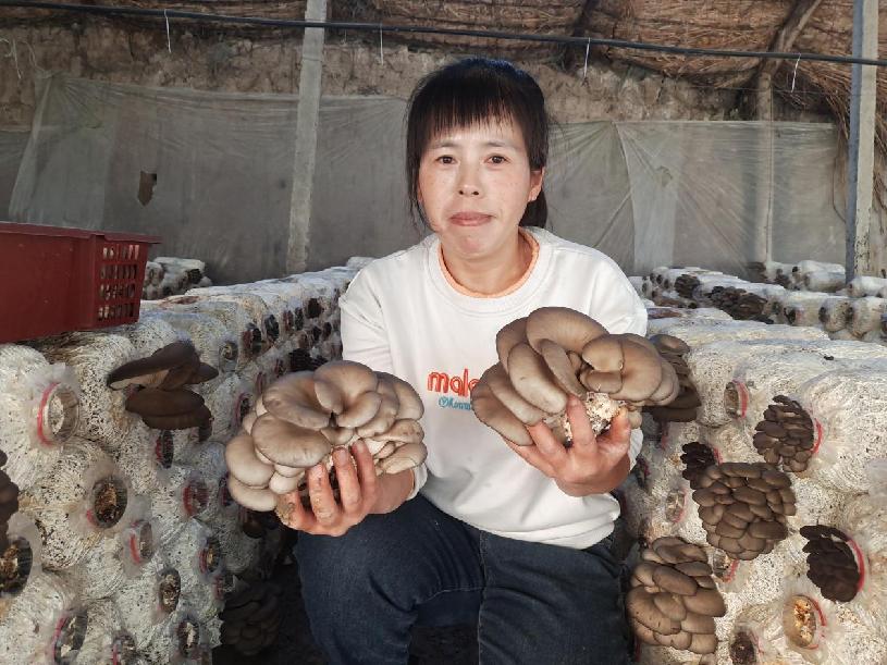 8609ededa70eda70af03ff63eebcef9