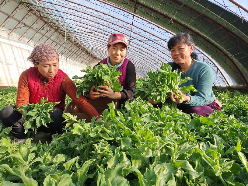 70f52ff300f9ae26ac0db07f479c8d0