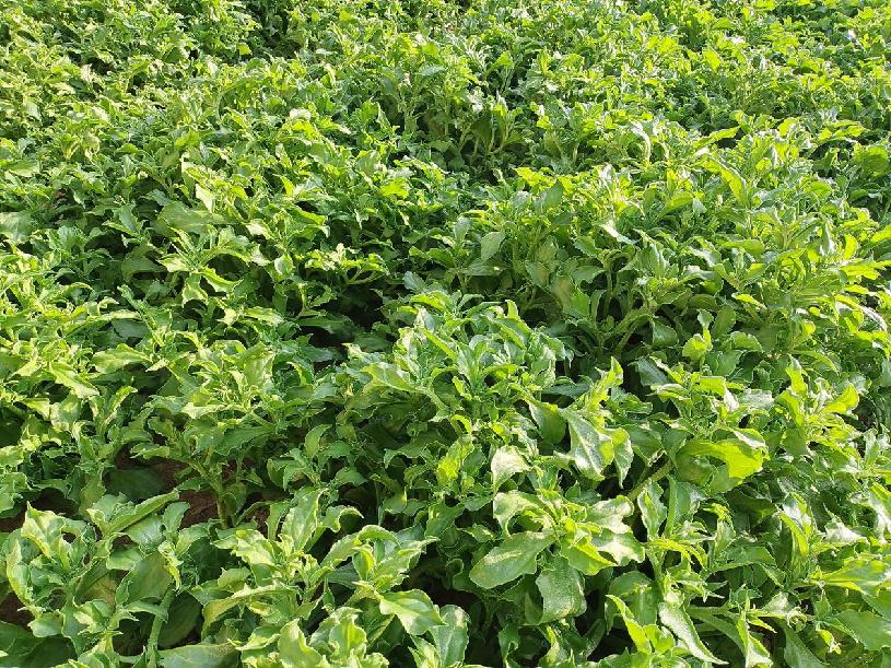 39a30521d9c3dba3b88f89916c1afff