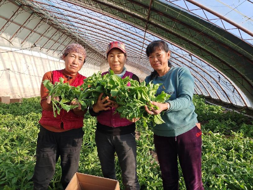 5caf656b699147b11330a16ce908762