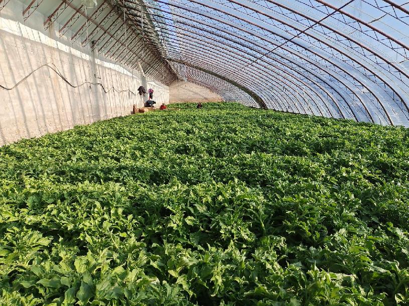 590c77f1a20007ebb10ab1450a74b53