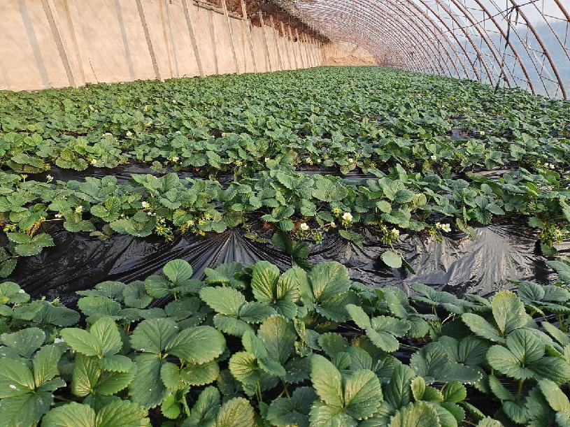 3bf3842312ae3d68b8002356c731985