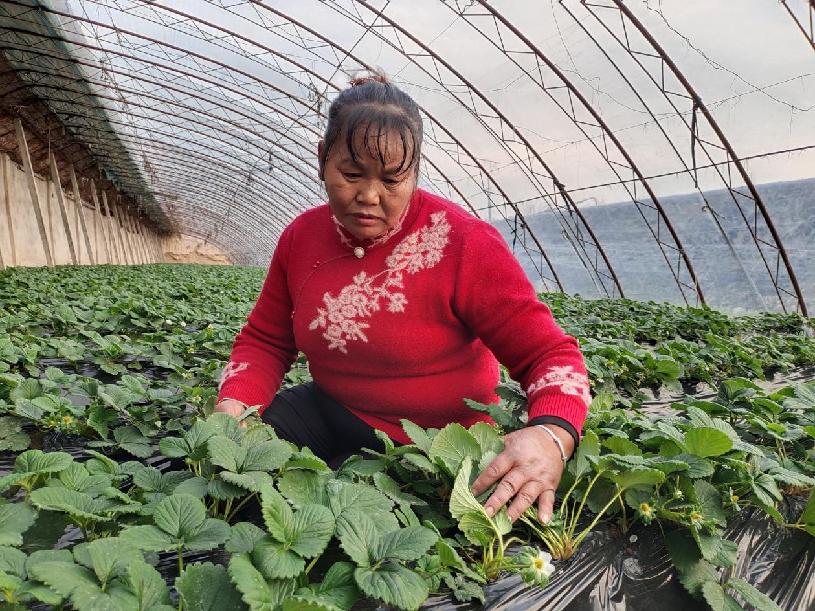 37bbd212296fcddea679eb4c9cf1ed3