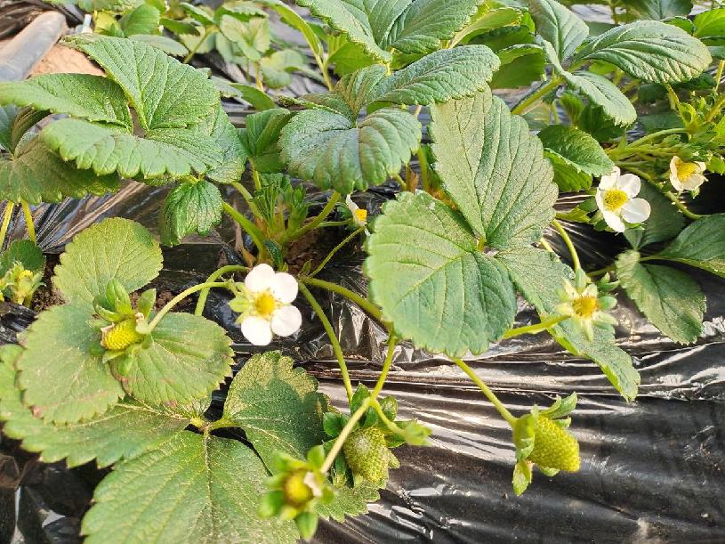 adab6f9da747e25b96c7501a5a08228