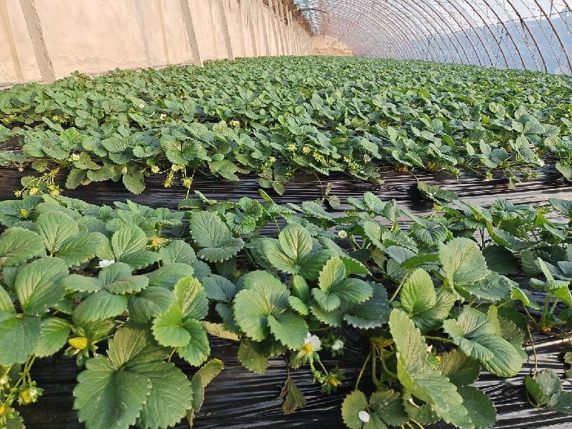 601b53dbc8fe827525225181ebee4ea