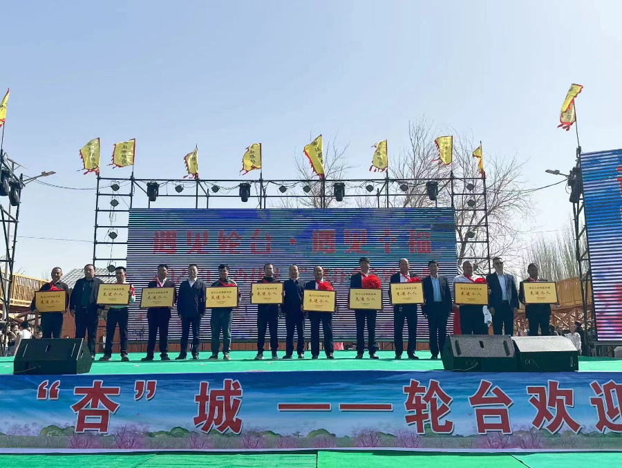 轮台赏花经济点亮中国白杏之乡